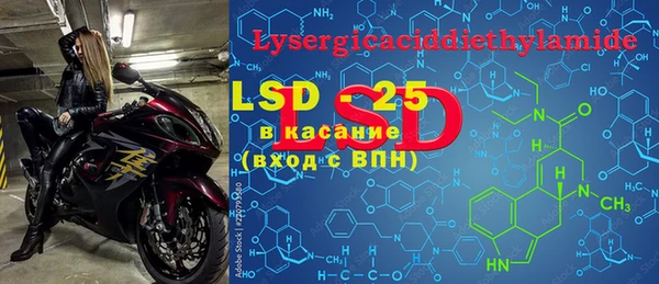 дживик Белокуриха