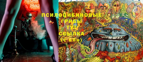 дживик Белокуриха